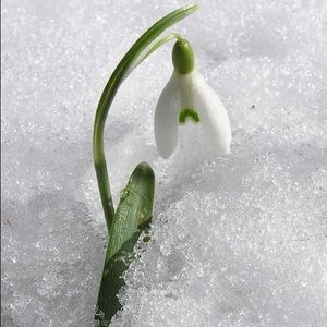 Meet your Posher, motan4